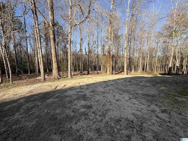 view of yard featuring a view of trees