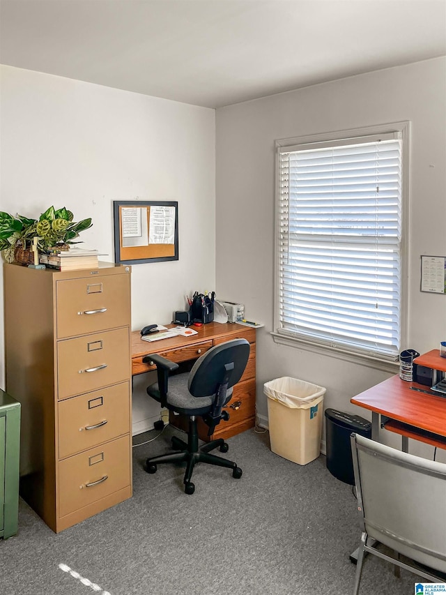 office space featuring carpet