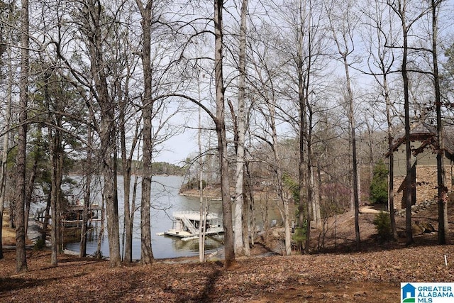 property view of water with a dock