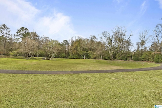 view of home's community featuring a lawn