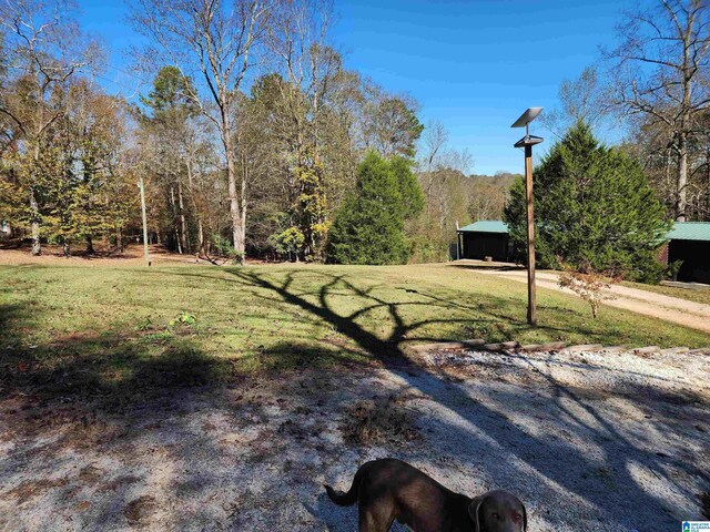 245 County Road 4991 Unit 4, Woodland, AL 36280