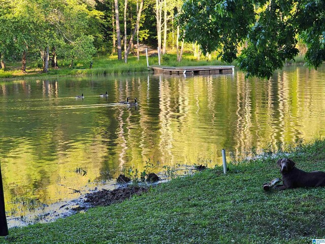 245 County Road 4991 Unit 4, Woodland, AL 36280