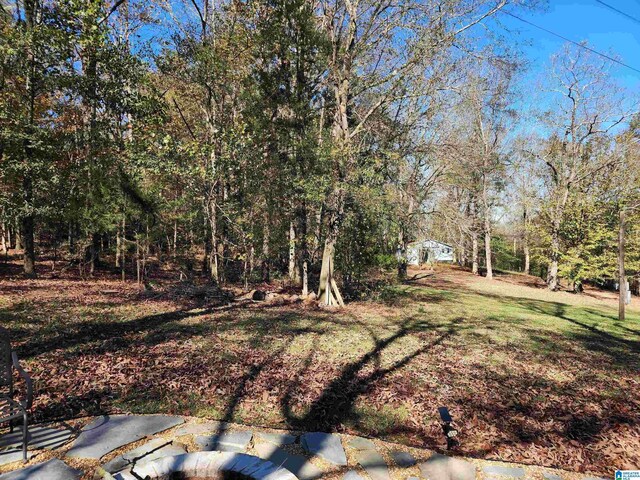 245 County Road 4991 Unit 4, Woodland, AL 36280