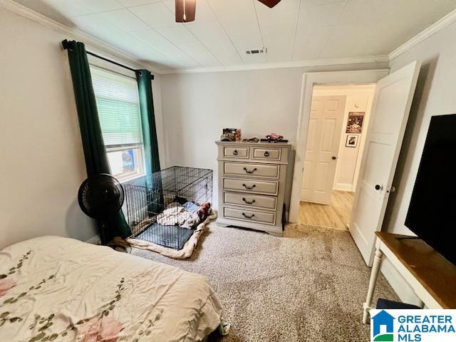 carpeted bedroom featuring ceiling fan, visible vents, and ornamental molding