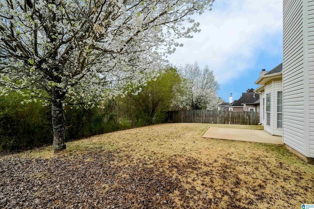 view of yard featuring a patio and fence