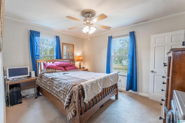 819 Jefferson Ave, Anniston, AL 36207 - bedroom featuring carpet flooring, multiple windows, and ornamental molding
