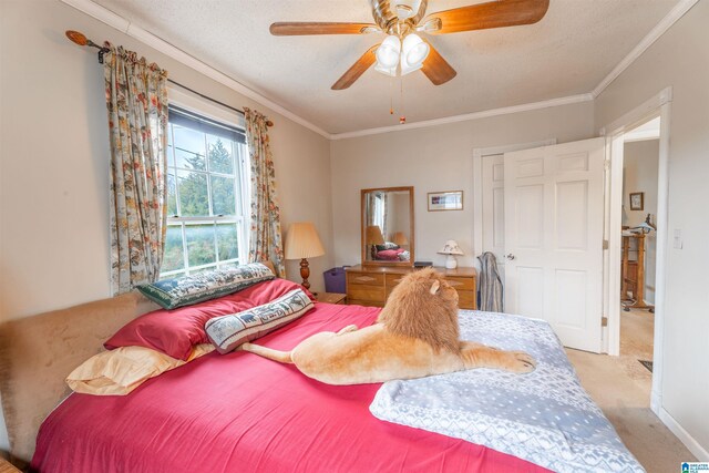 819 Jefferson Ave, Anniston, AL 36207 - bedroom with a textured ceiling, crown molding, and carpet
