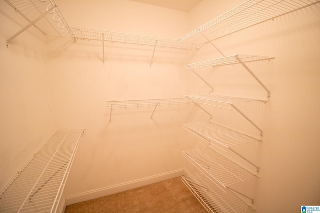 spacious closet with carpet