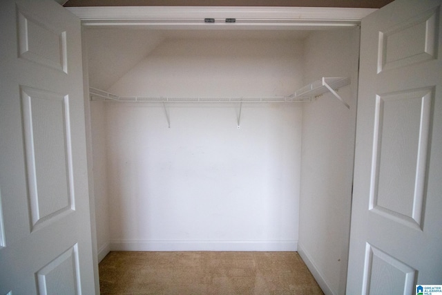 walk in closet with light carpet