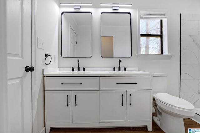 bathroom featuring a sink, toilet, and double vanity