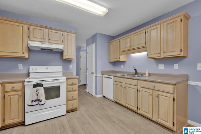 kitchen with under cabinet range hood, light brown cabinets, white appliances, and a sink