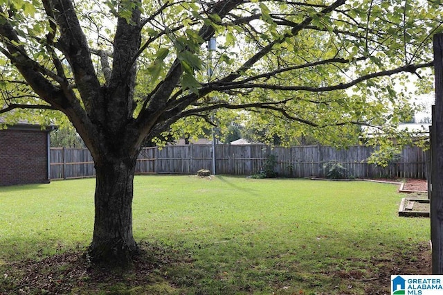 view of yard featuring a fenced backyard