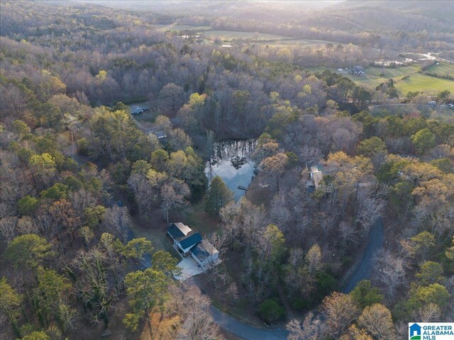 236 Oak Ridge Dr, Oneonta, AL 35121 - birds eye view of property featuring a wooded view