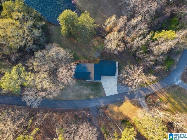 236 Oak Ridge Dr, Oneonta, AL 35121 - drone / aerial view