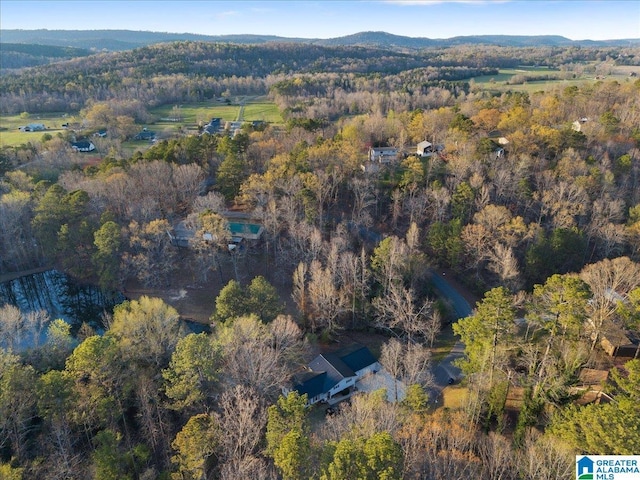 236 Oak Ridge Dr, Oneonta, AL 35121 - birds eye view of property with a view of trees
