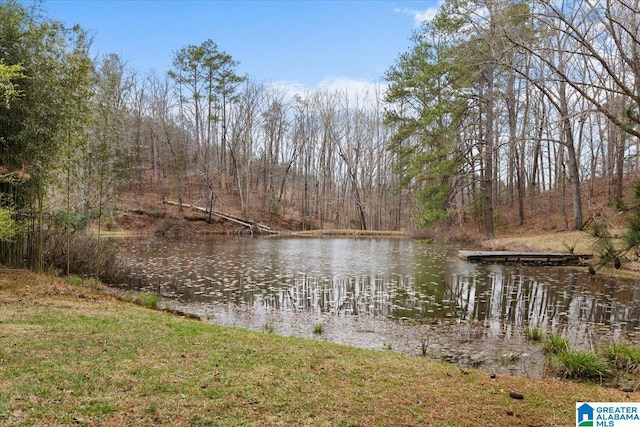 236 Oak Ridge Dr, Oneonta, AL 35121 - view of water feature featuring a forest view