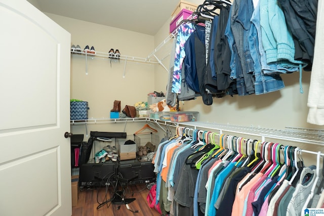 walk in closet featuring wood finished floors