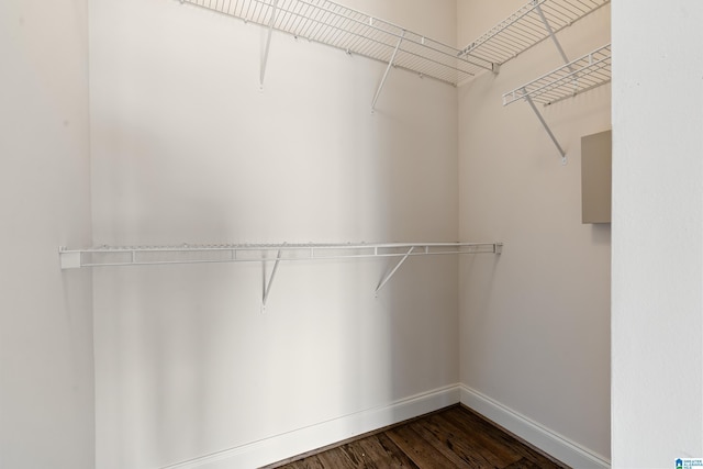 spacious closet featuring dark wood-type flooring