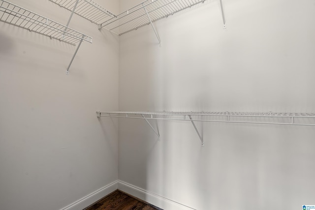 spacious closet featuring dark wood-style floors