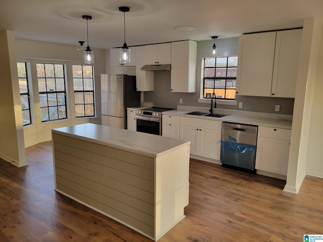 kitchen featuring a sink, appliances with stainless steel finishes, wood finished floors, and under cabinet range hood