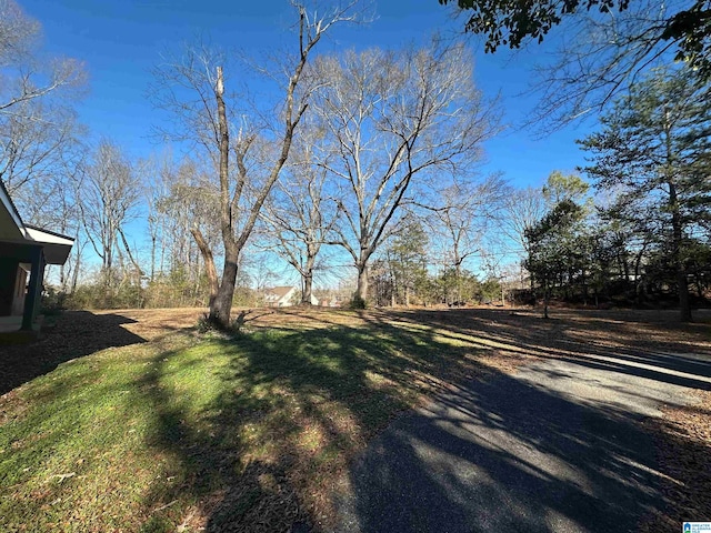 861 Lankford Ln, Alexandria, AL 36250 - view of yard