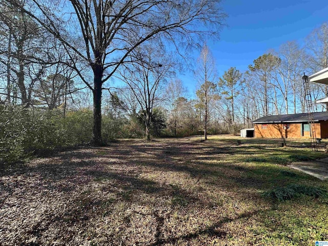 861 Lankford Ln, Alexandria, AL 36250 - view of yard