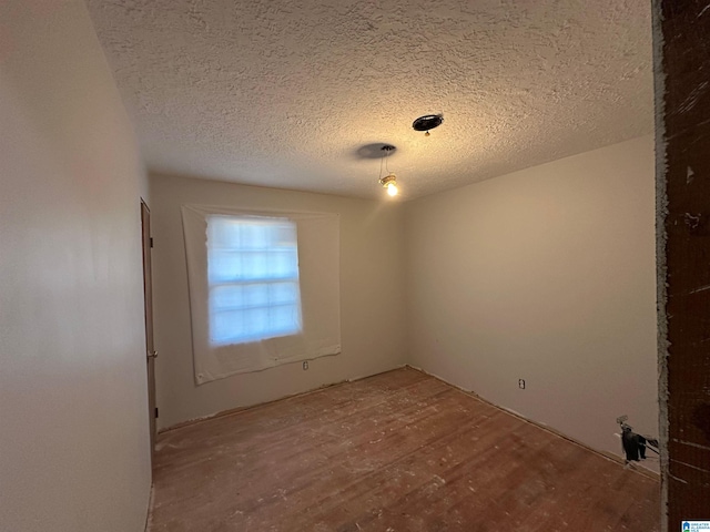 861 Lankford Ln, Alexandria, AL 36250 - spare room with wood finished floors and a textured ceiling