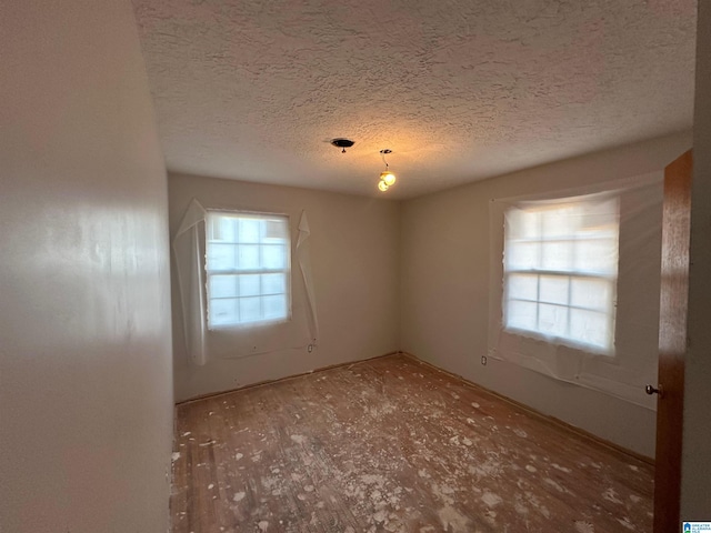 861 Lankford Ln, Alexandria, AL 36250 - spare room with a textured ceiling
