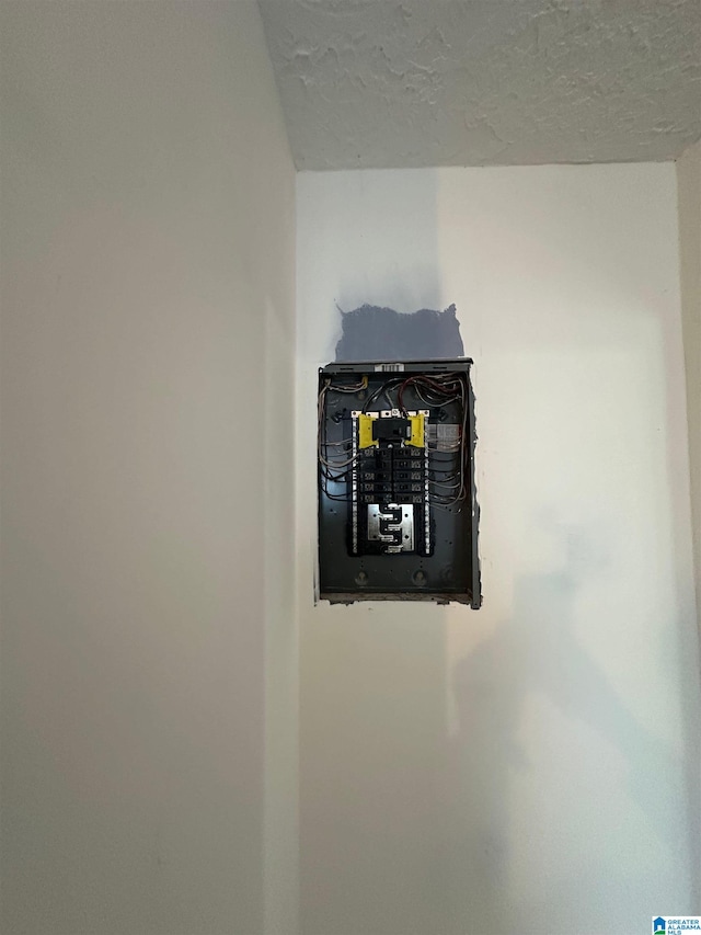 861 Lankford Ln, Alexandria, AL 36250 - details with electric panel and a textured ceiling