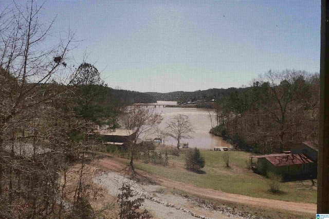 1310 County Road 264, Wedowee, AL 36278 - property view of water