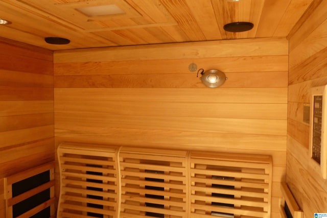 1310 County Road 264, Wedowee, AL 36278 - view of sauna / steam room