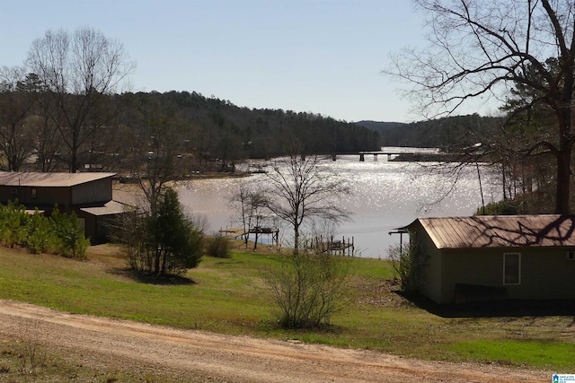 1310 County Road 264, Wedowee, AL 36278 - water view with a view of trees