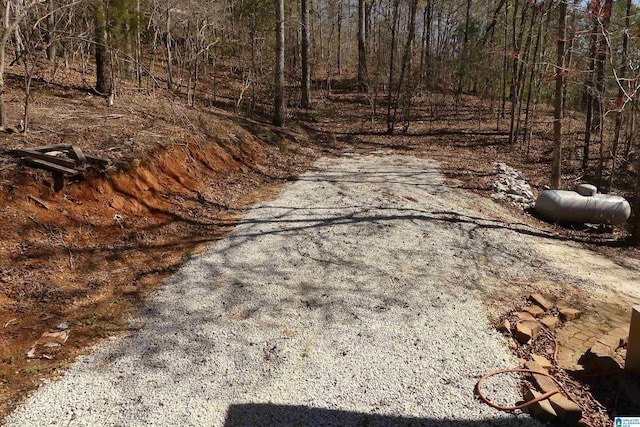1310 County Road 264, Wedowee, AL 36278 - view of road