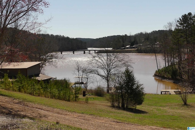 1310 County Road 264, Wedowee, AL 36278 - property view of water featuring a forest view and a boat dock