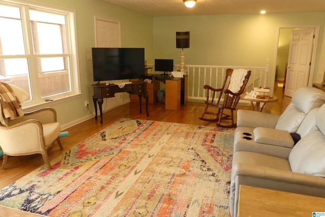 1310 County Road 264, Wedowee, AL 36278 - living area featuring baseboards and wood finished floors