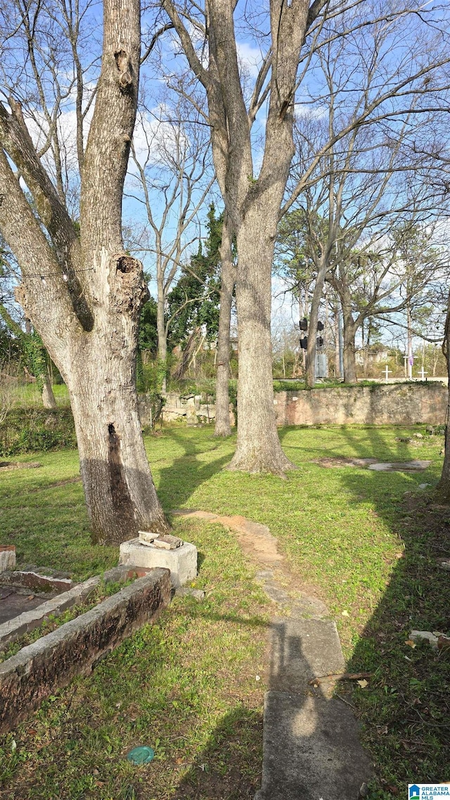 563 Brussels Ave, Birmingham, AL 35212 - view of yard