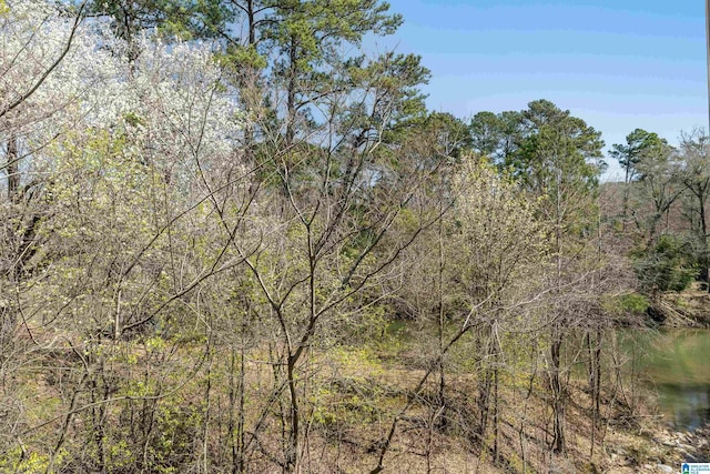 view of local wilderness featuring a wooded view