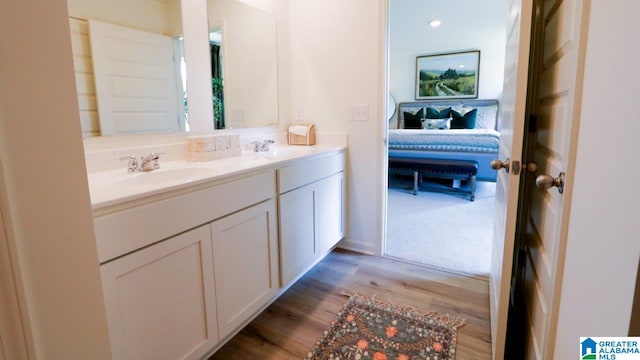 873 Fish Camp Rd, Chelsea, AL 35043 - ensuite bathroom featuring double vanity, connected bathroom, wood finished floors, and a sink