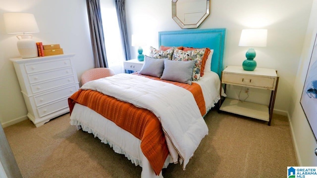 873 Fish Camp Rd, Chelsea, AL 35043 - bedroom with light carpet and baseboards