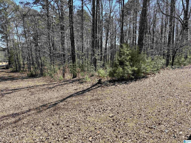 LOT2 Morton Rd Unit 2, Warrior, AL 35180