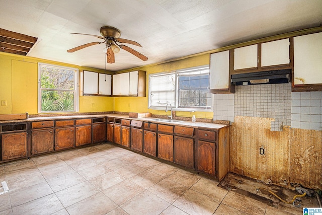 kitchen with ceiling fan, a wealth of natural light, exhaust hood, and a sink