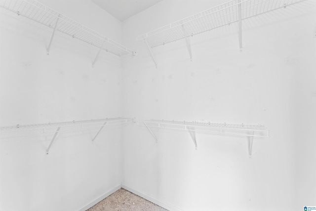 view of walk in closet