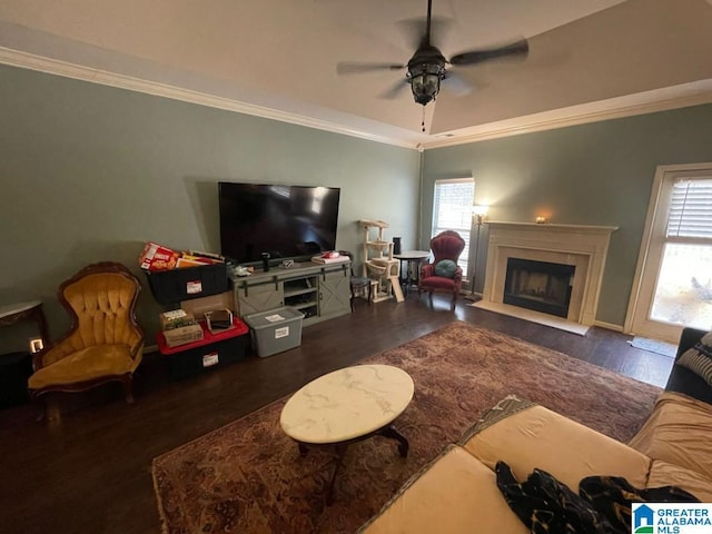 living area with wood finished floors, a fireplace with raised hearth, a ceiling fan, and ornamental molding