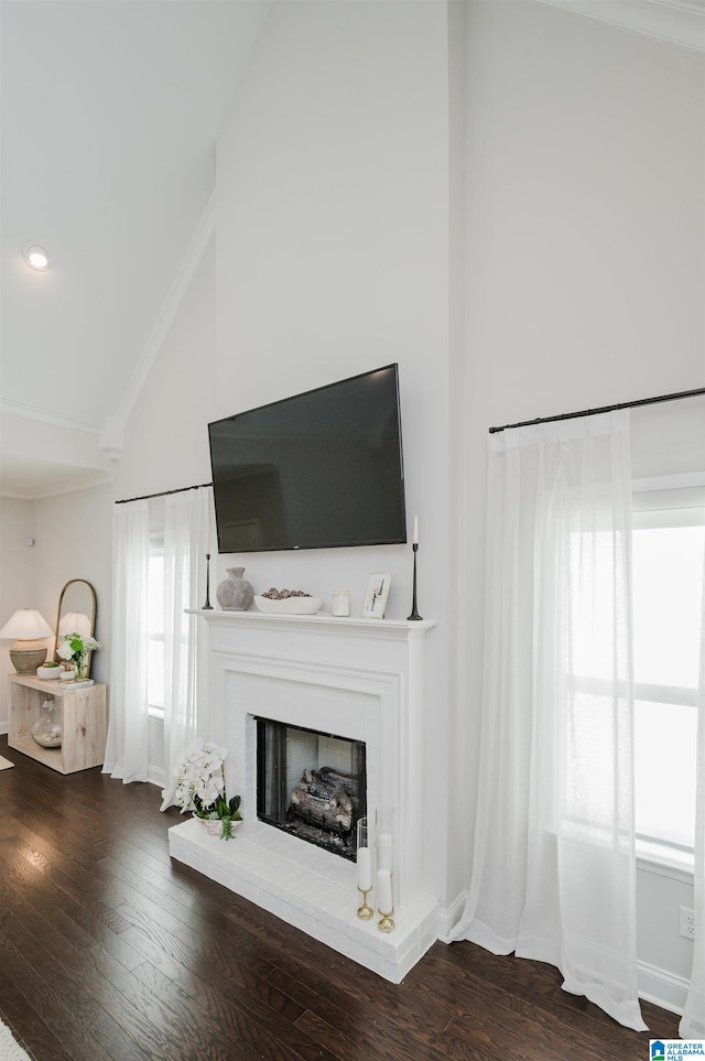 2167 Springfield Dr, Chelsea, AL 35043 - living area featuring baseboards, a fireplace, high vaulted ceiling, and wood finished floors