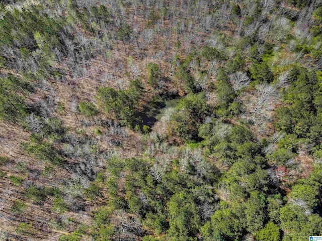 bird's eye view with a wooded view