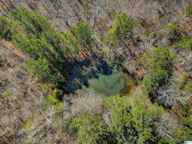 birds eye view of property featuring a wooded view