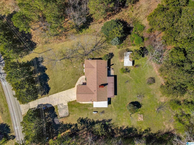 bird's eye view