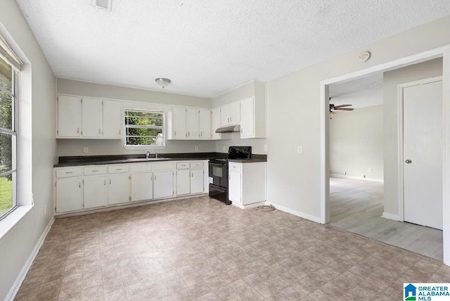 63 Bluebell St, Bessemer, AL 35020 - kitchen featuring black range with electric cooktop, light floors, under cabinet range hood, and a sink