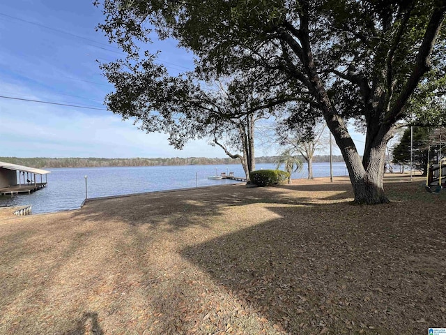 view of yard with a water view and a dock