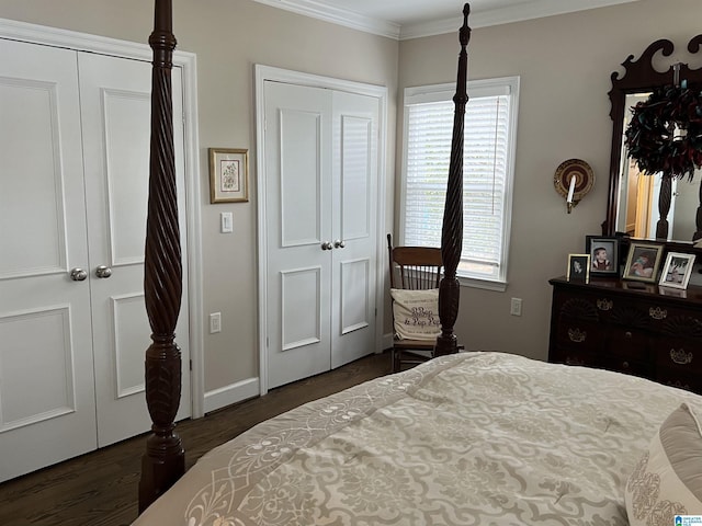bedroom with multiple windows, dark wood-style floors, and multiple closets